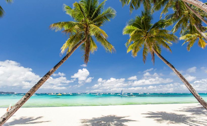 PHAN THIET ẢNH ĐẠI DIỆN